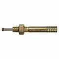 Homecare Products 0.25 x 1.75 in. Hammer Drive Anchor, 50PK HO154294